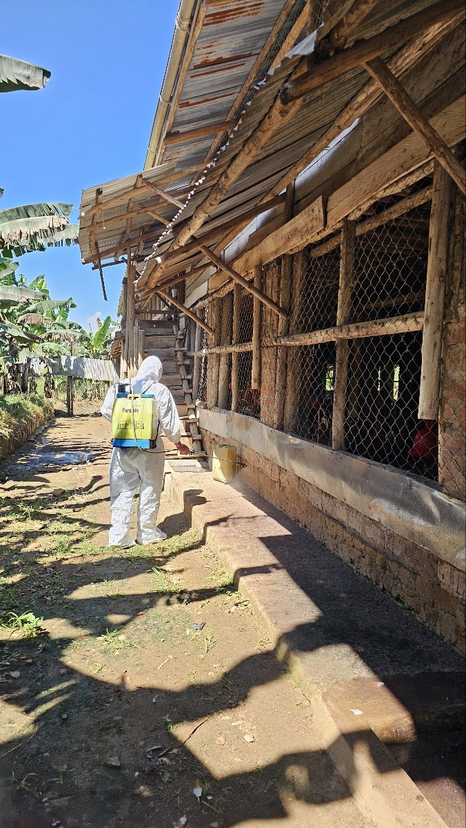 축사내 직접 소독하는 황한솔 대표