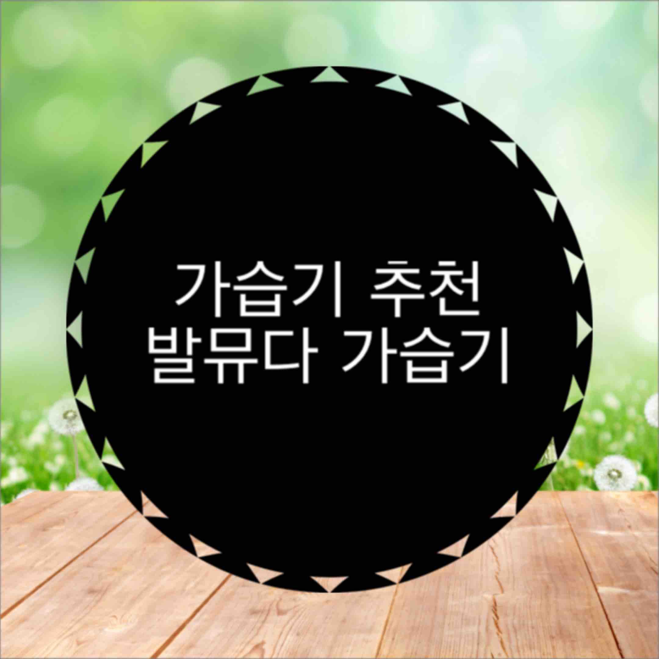  가습기 추천 (feat. 발뮤다 가습기 후기)