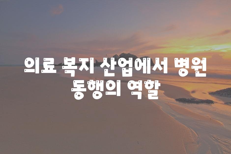 의료 복지 산업에서 병원 동행의 역할