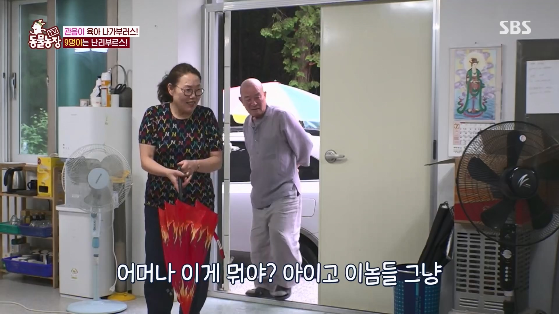 TV 동물농장.E1130.230723p.H264-F1RST.mp4_20230723_171159.330.jpg