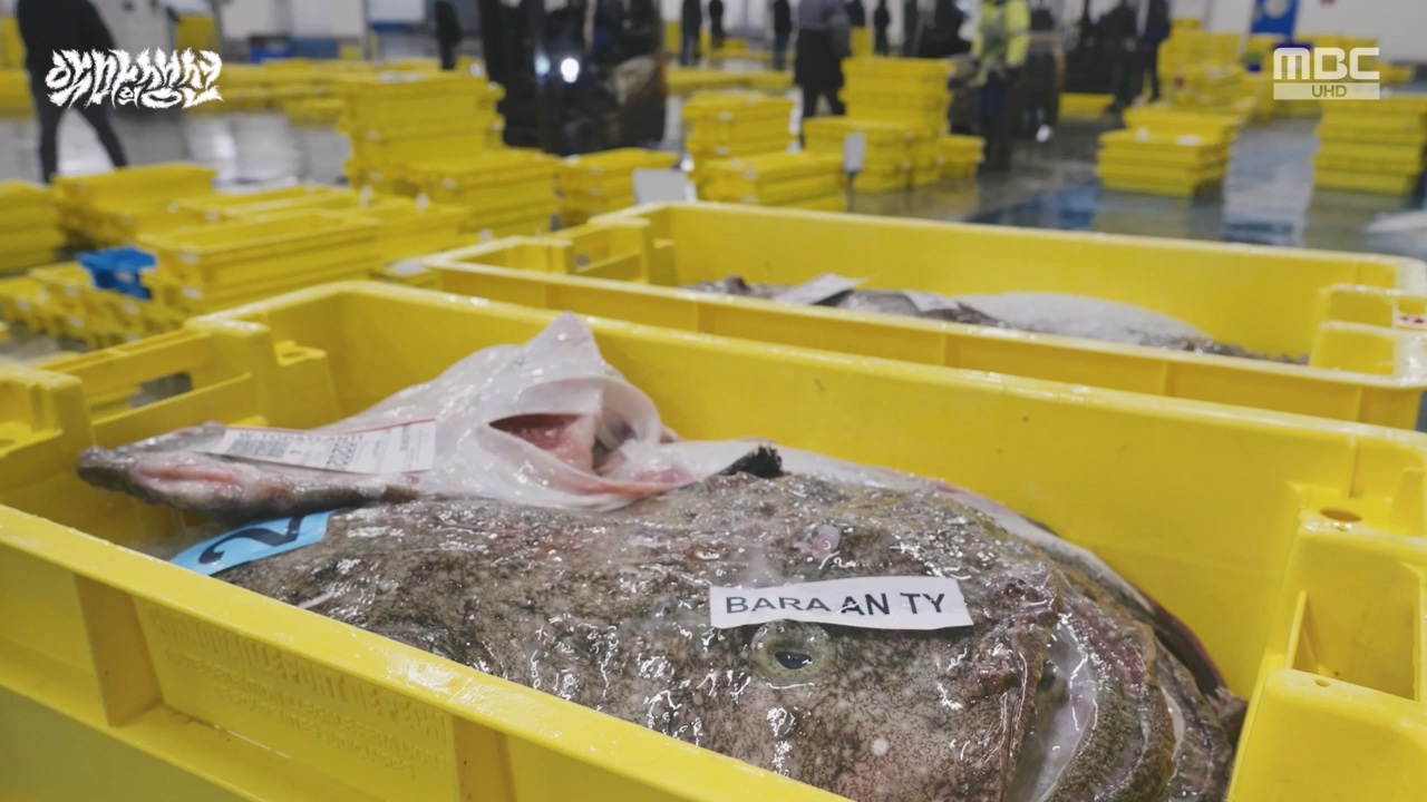 MBC 네트워크특선.E1670.240403p-NEXT.mp4_20240403_205608.421.jpg