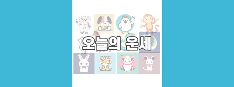 오늘운세보기