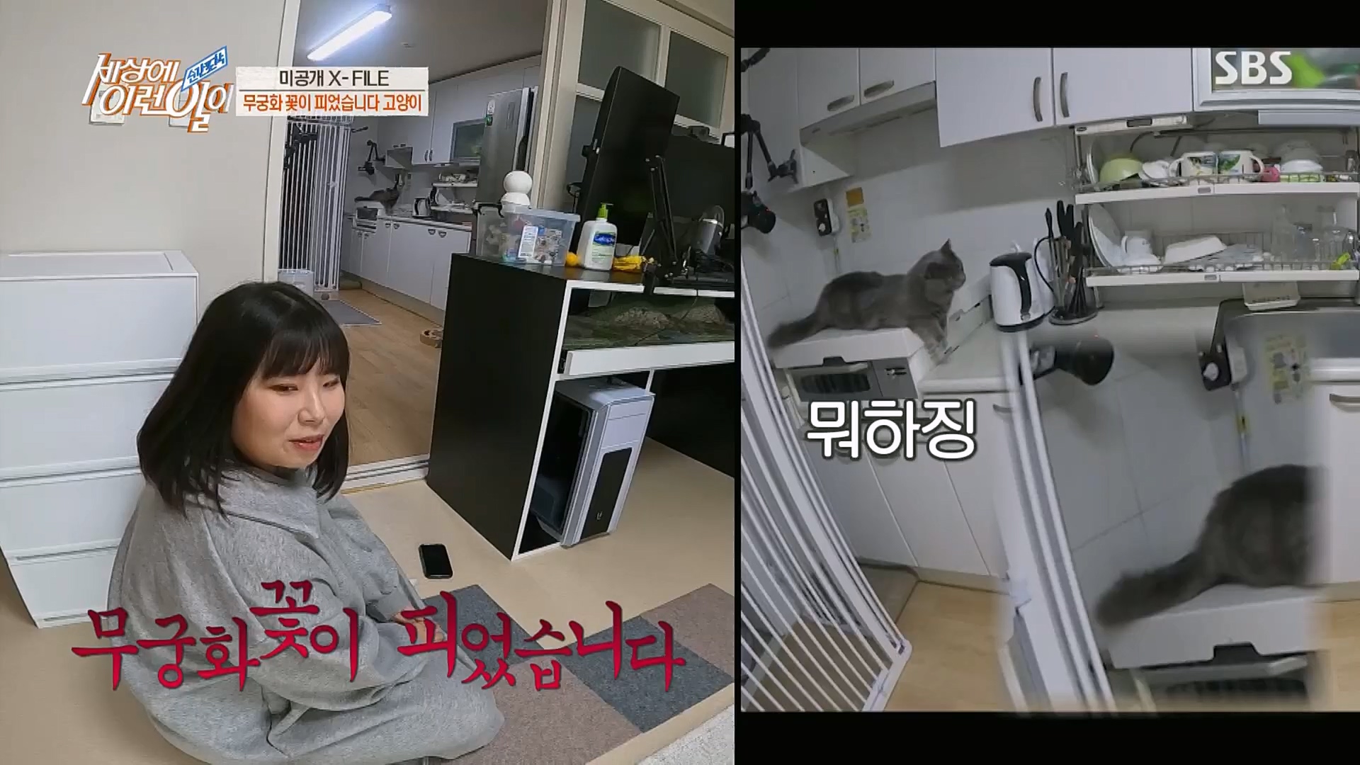 순간포착 세상에 이런일이.E1220.230307p.H264-F1RST.mp4_20230308_193449.574.jpg