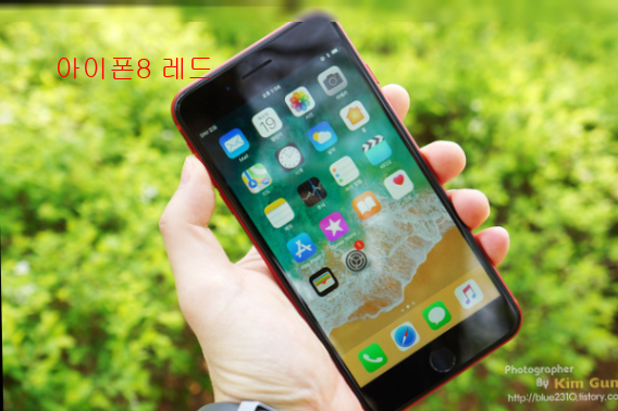 아이폰8 레드12