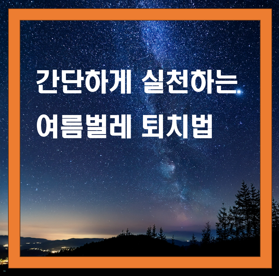 여름 벌레 퇴치법 TOP 5! 집에서 간단하게 실천하기