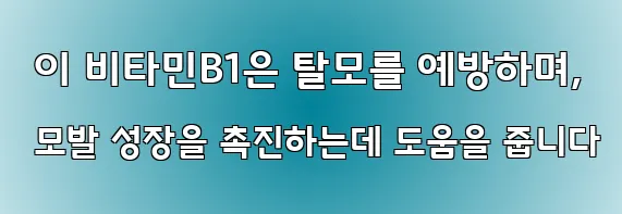  이 비타민B1은 탈모를 예방하며, 모발 성장을 촉진하는데 도움을 줍니다