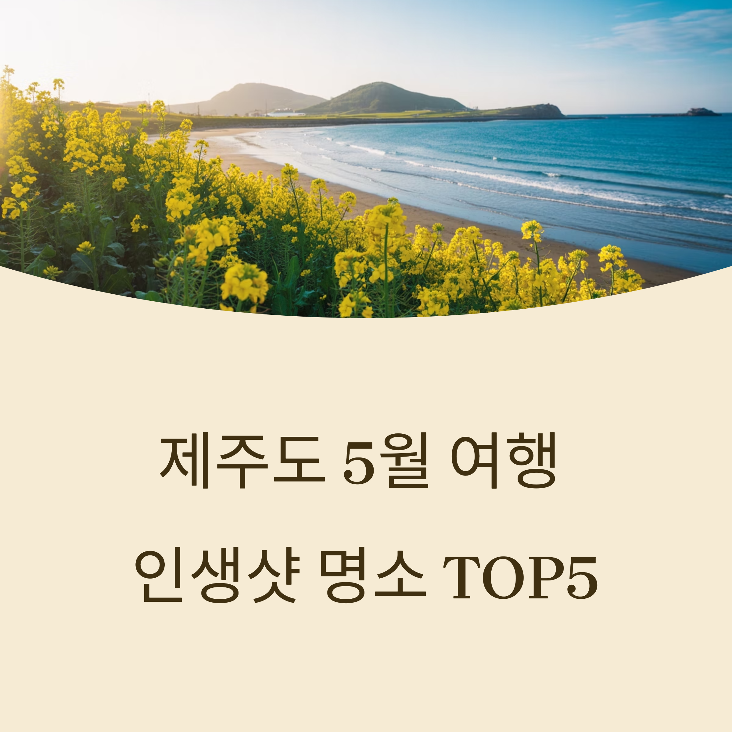 제주도 5월 여행 완벽 가이드 – 추천 코스 &amp; 인생샷 명소 TOP5