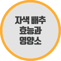  자색 배추의 효능과 영양소 알아보기