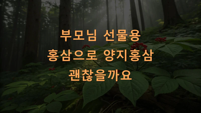 부모님 선물용 홍삼으로 양지홍삼 괜찮을까요