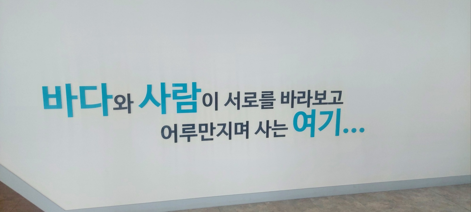포항에 구룡포에있는~ 과메기 3