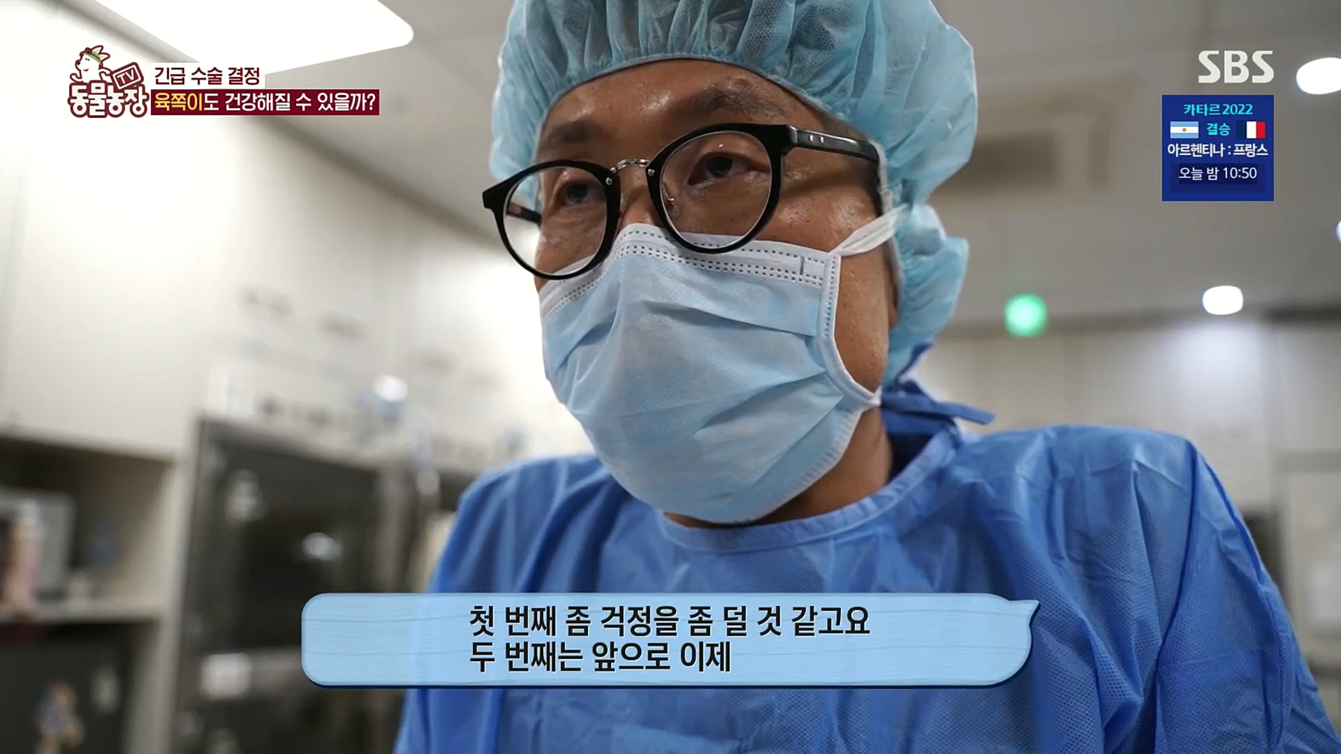 TV 동물농장.E1100.221218p.H264-F1RST.mp4_20221218_183455.099.jpg