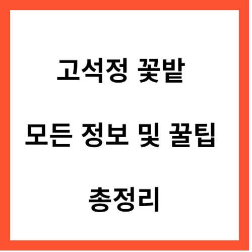 고석정 꽃밭 모든 정보&#44; 꿀팁 총정리