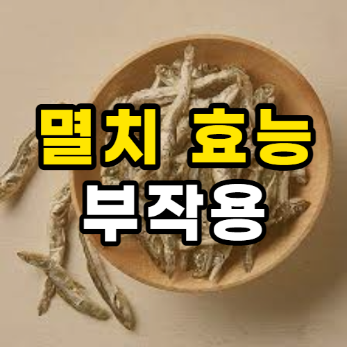  멸치 효능 10가지 및 부작용