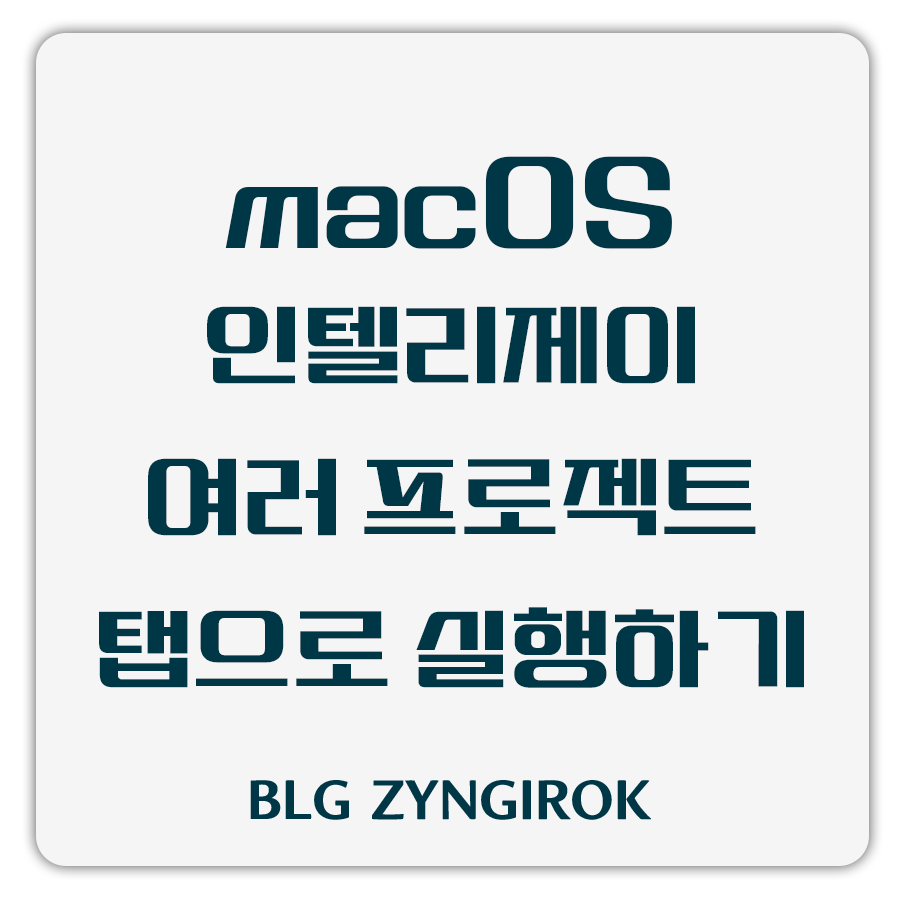 macOS에서-인텔리제이-여러개의-프로젝트를-탭으로-실행하는-방법-포스트의-썸네일-이미지