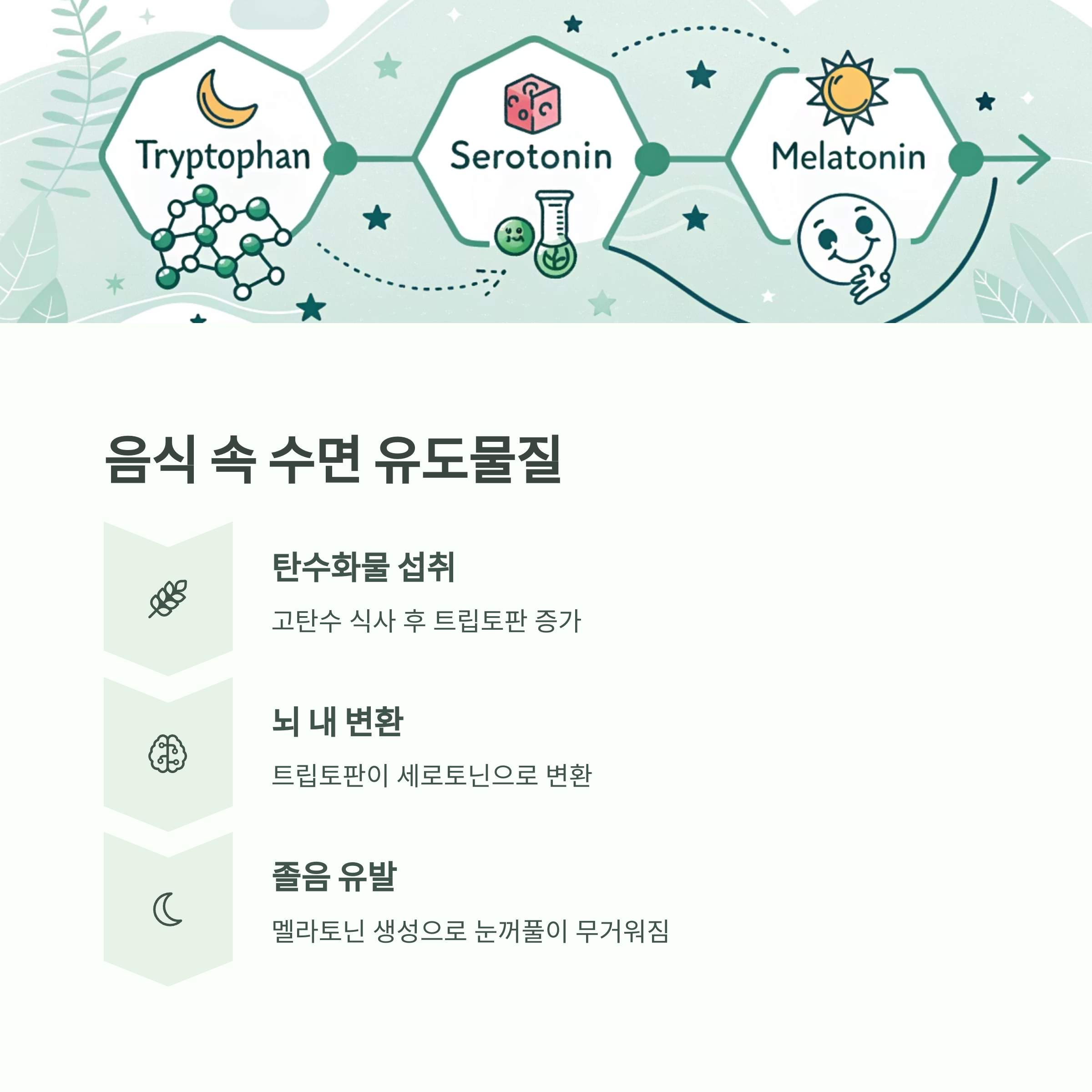 식사 후 졸음 터지는 이유와 깨어있는 에너지 유지법 - 밥만 먹으면 졸리는 이유? 원인과 해결책은 모두 '혈당'에 있습니다 - 트립토판과 세로토닌: 음식 속 수면 유도물질? 식사 후 졸음 터지는 이유와 깨어있는 에너지 유지법 - 밥만 먹으면 졸리는 이유? 원인과 해결책은 모두 '혈당'에 있습니다 - 트립토판과 세로토닌: 음식 속 수면 유도물질?