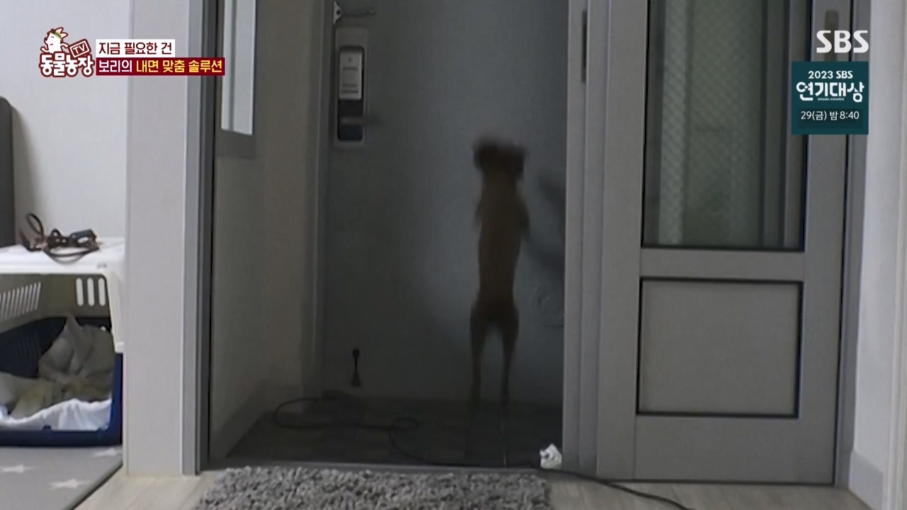 TV 동물농장.E1150.231218p-NEXT.mp4_20231217_171346.465.jpg