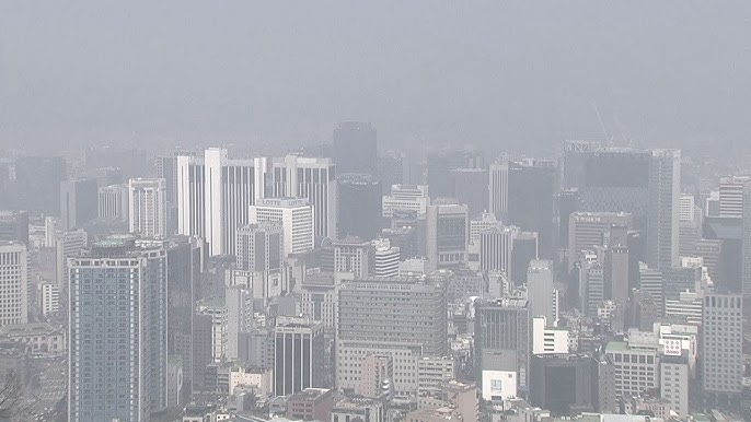 미세먼지 대응 매뉴얼