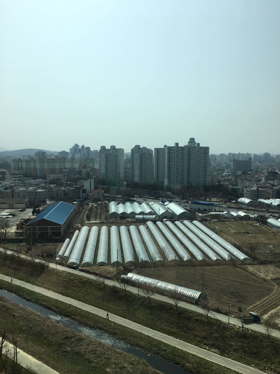  자석 창문닦이 베베헤이즐 쓱쓱굿 (내돈내산)