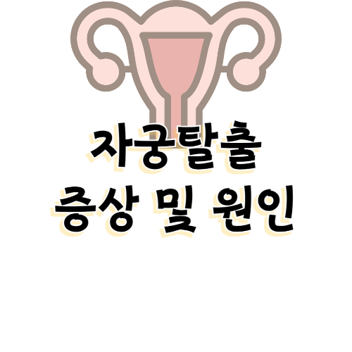 자궁건강알아보기