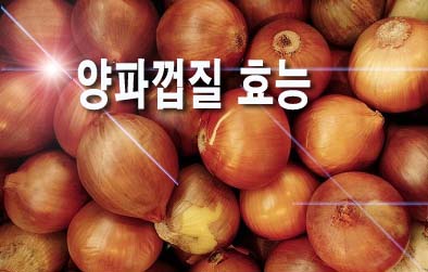  양파껍질 효능, 양파 보관법