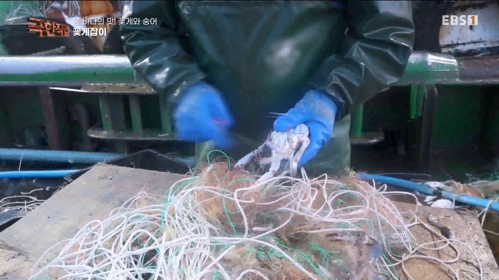 극한 직업 꽃게와 숭어 1080p.mp4_20230530_194647.443.jpg