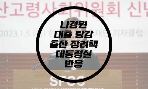  나경원 대출탕감 출산장려책/대통령실 비판/나경원 SNS