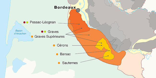 보르도 그라브의 와인 지도