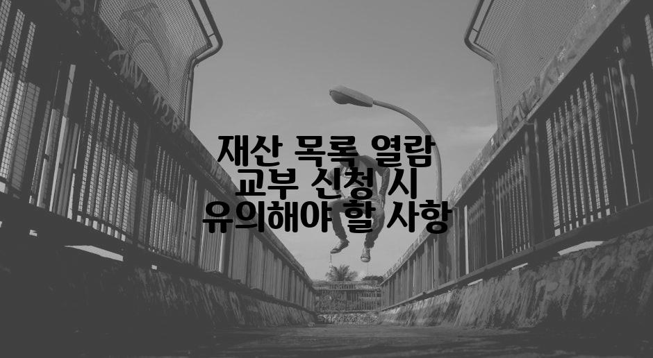 재산 목록 열람 교부 신청 시 유의해야 할 사항