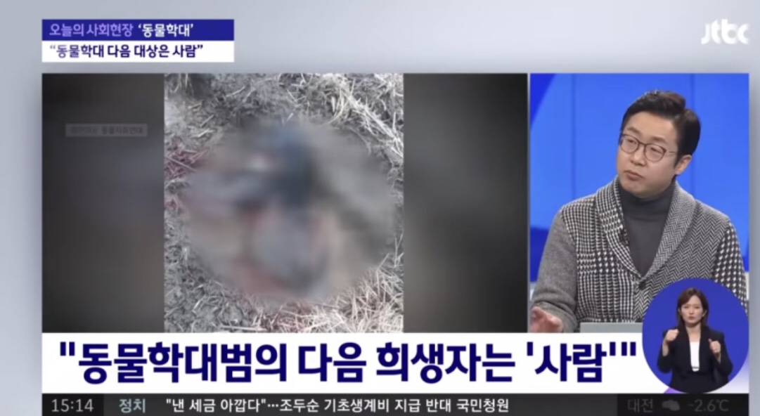  대구 길고양이 연쇄 학살 사건