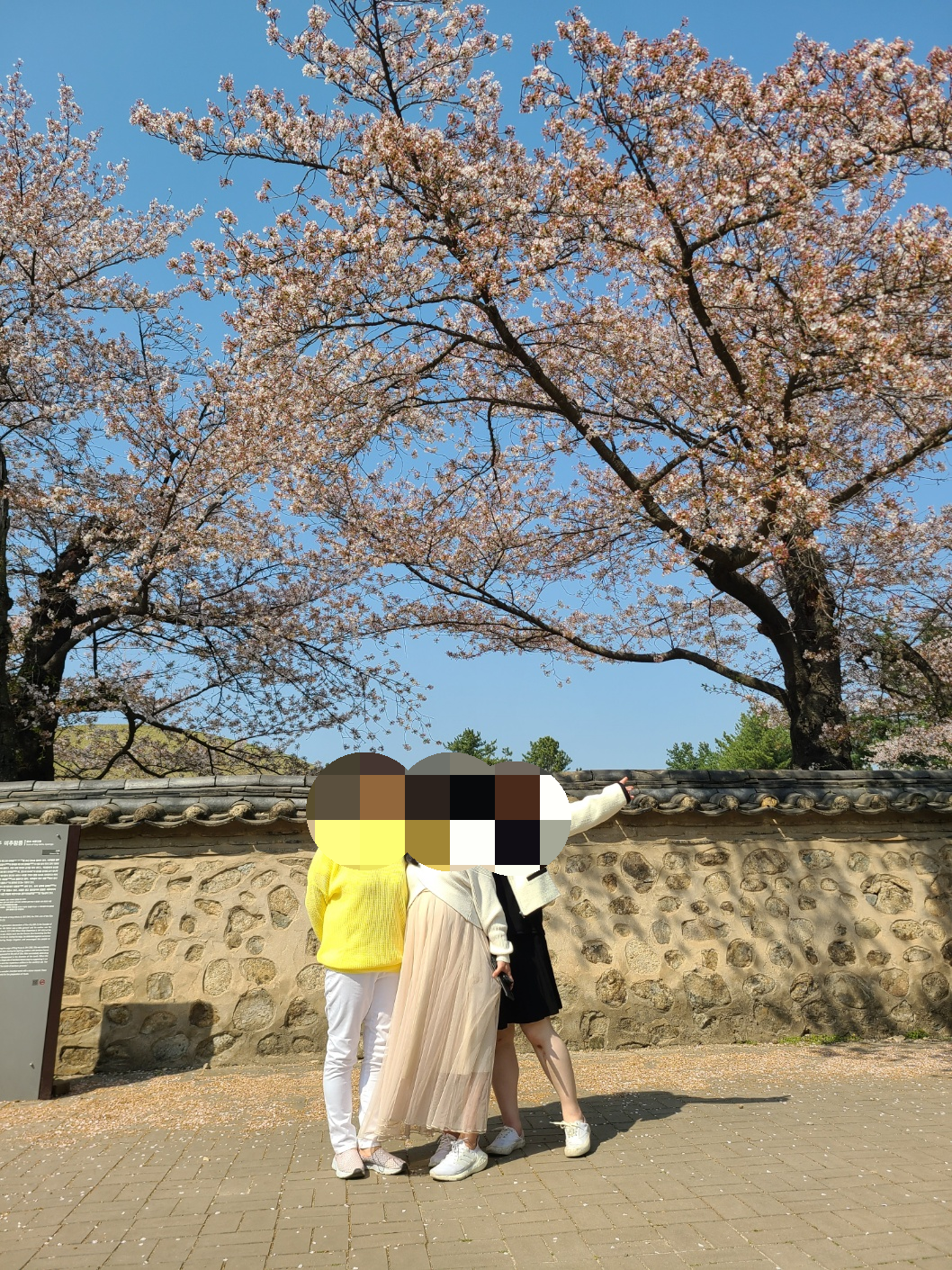  [경주 1박 2일 뚜벅이 택시여행 2일차]황리단길, 대릉원, 첨성대