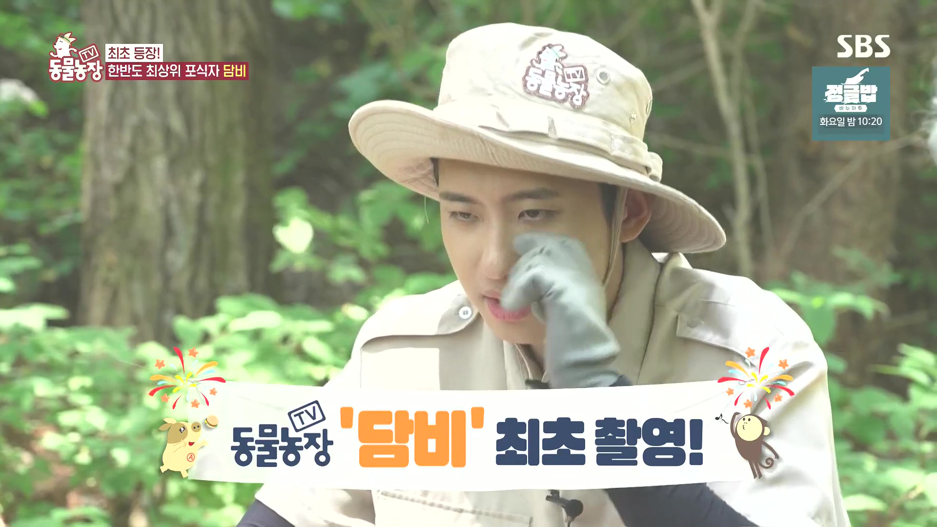 TV 동물농장.E1185.240818p.H264-F1RST.mp4_20240818_161241.739.jpg