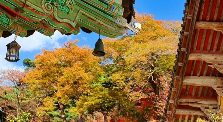 - 수덕사, 명상치유림길과 수암산의 가을 예산으로 볼거리, 단풍여행 33