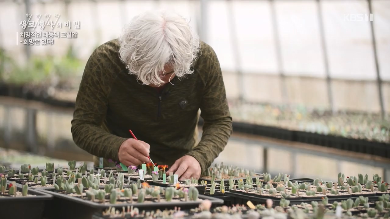 생로병사의 비밀.E900.240215p-NEXT.mp4_20240215_202859.684.jpg