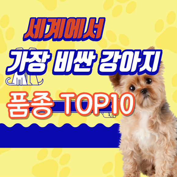 세계에서 가장 비싼 강아지 품종 TOP10