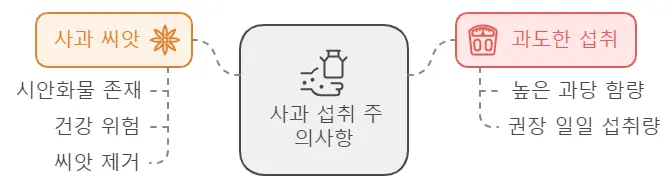 사과 섭취 주의사항