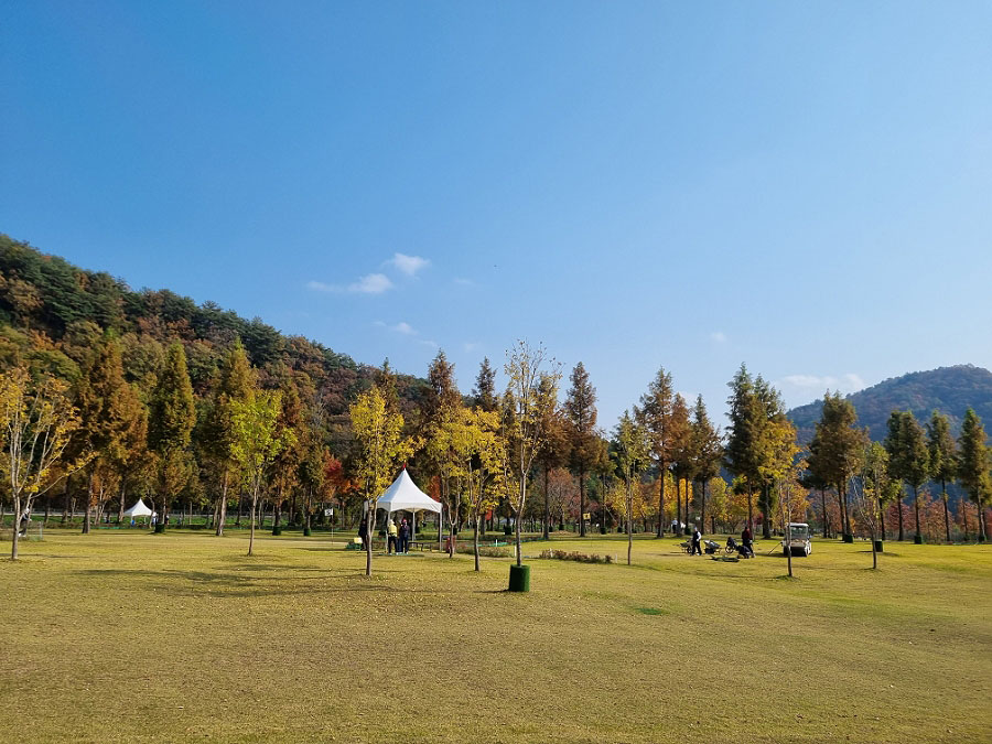 화천 거례리 산천어파크골프장 (산천어파크골프장, 거례리파크골프장, 거례리수목공원 파크골프장) 강원도 화천군 하남면 거례리 473-3번지