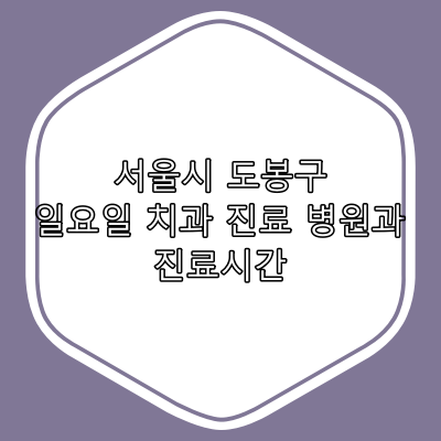 서울 도봉구 일요일 치과 진료 병원과 진료시간