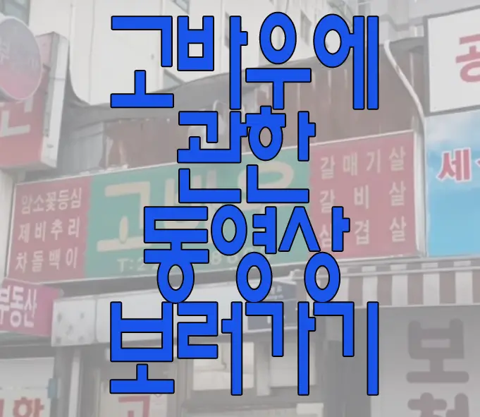 고바우에 관한 동영상 보러 가기 링크 사진