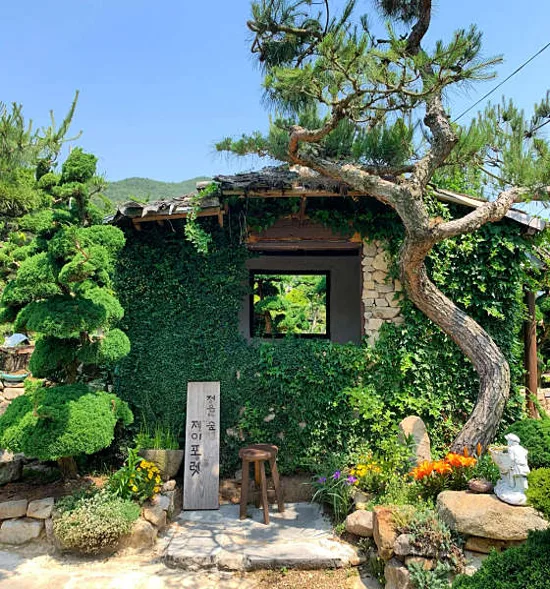 제이포렛