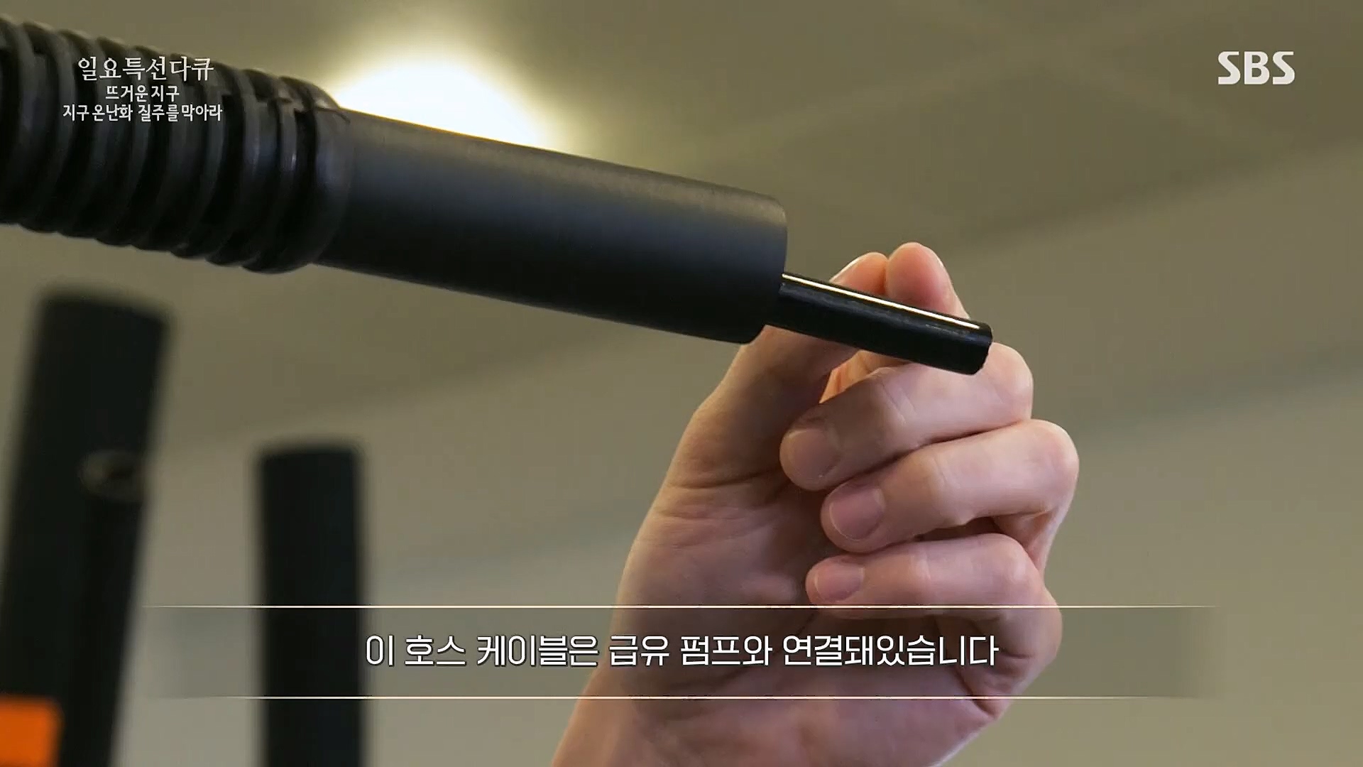 일요 특선 다큐멘터리.E309.230326p.H264-F1RST.mp4_20230326_154536.150.jpg