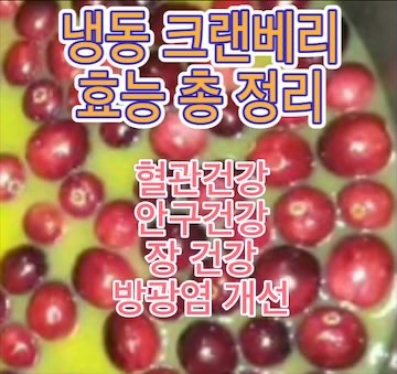 냉동-크랜베리-효능