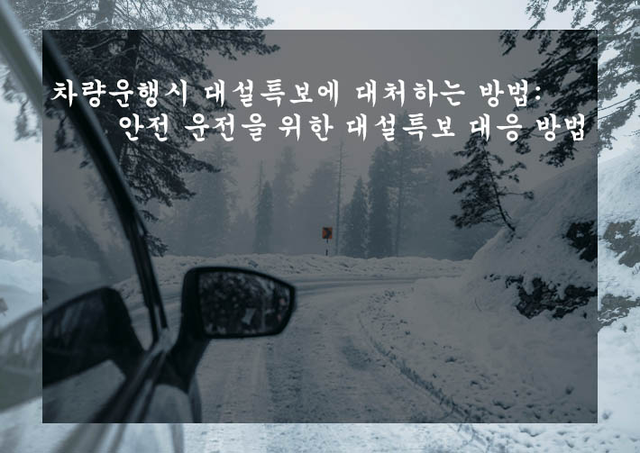  차량운행시 대설특보에 대처하는 방법: 안전 운전을 위한 대설특보 대응 방법