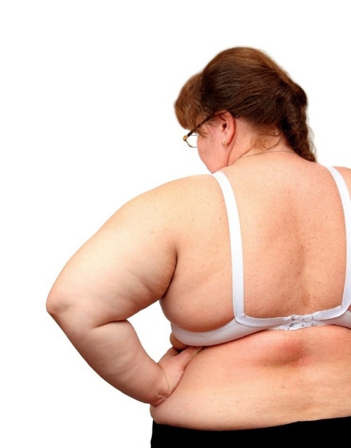  상체비만 다이어트부터 간헐적 다이어트까지: 내장지방을 빼는 건강한 라이프스타일의 시작