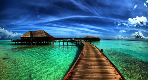 시스템 관리 도구 활용