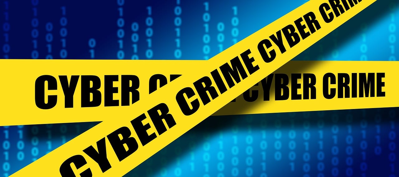 Cyber crime 이미지