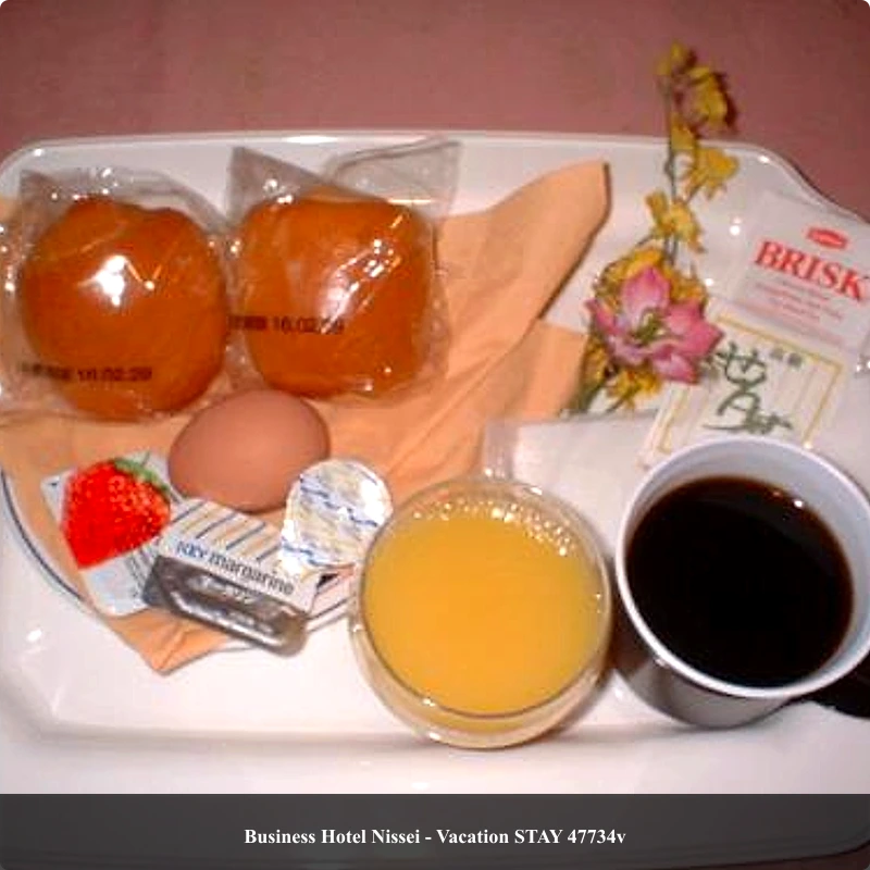 Business Hotel Nissei - Vacation STAY 47734v_4