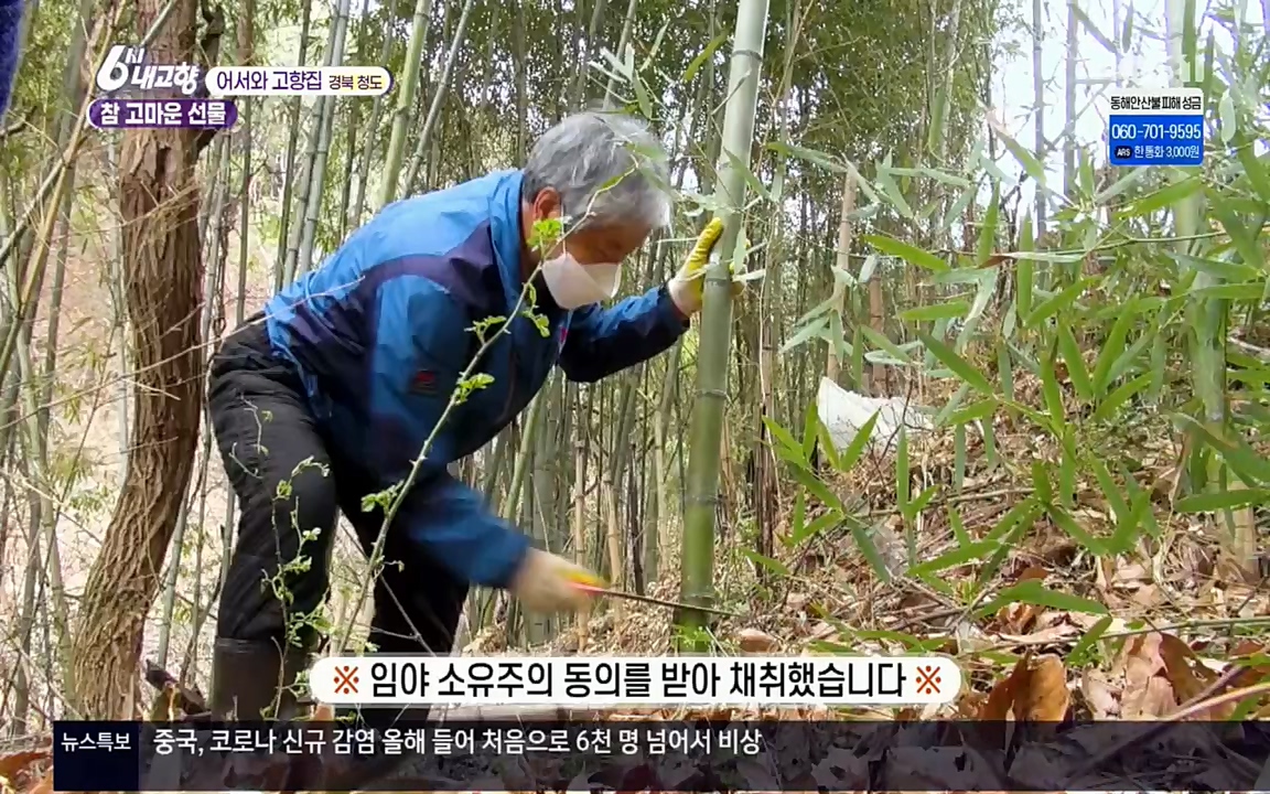 6시 내고향.E7498.220329p.H264-F1RST.mp4_20220329_184036.618.jpg