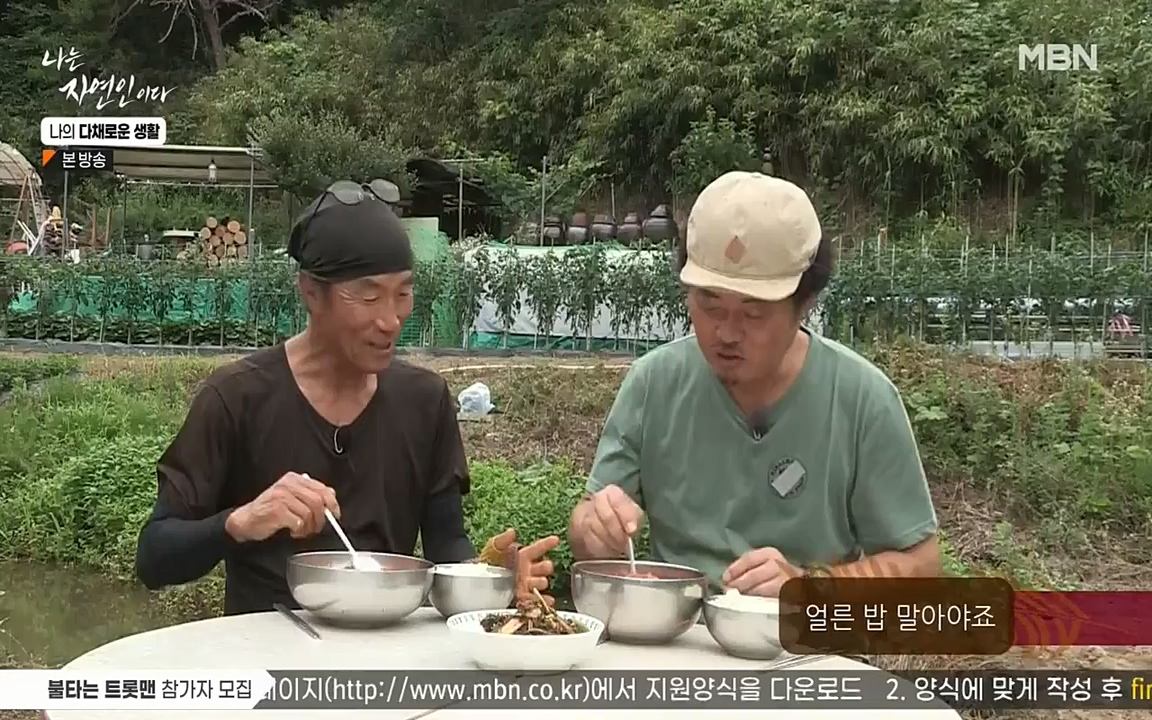 나는 자연인이다.E513.220804p-NEXT.mp4_20220804_202015.741.jpg