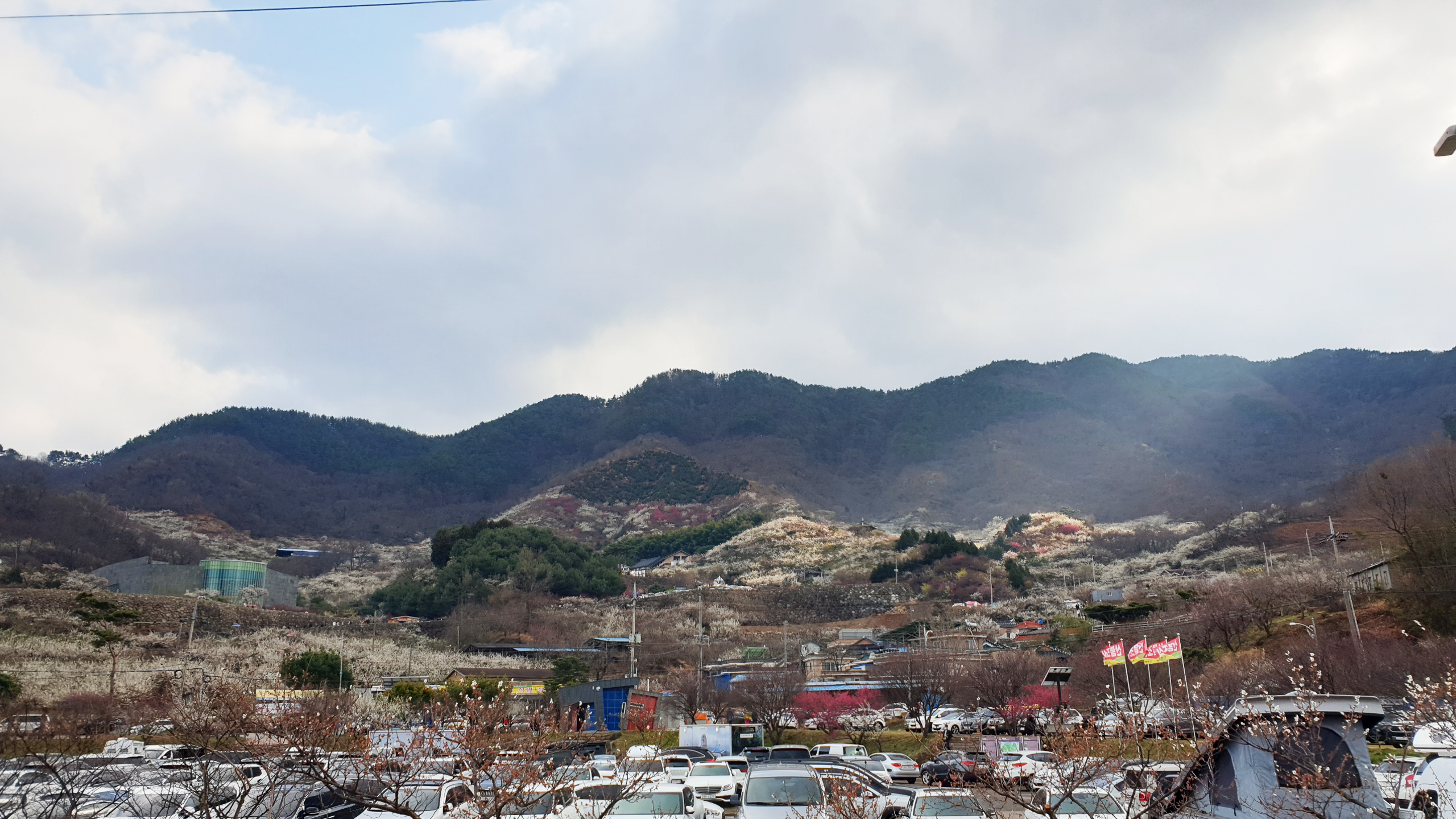 숲향여행사 이미지