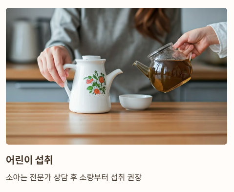자주 묻는 질문 (Q&A)